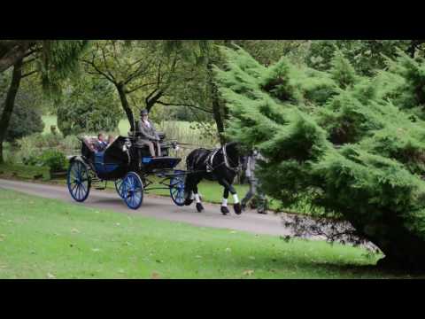 Devon carriages horse drawn weddings