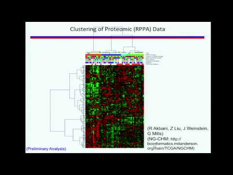 TCGA: The Bladder Cancer Analysis Working Group (BLCA AWG): A Progress Report - John Weinstein