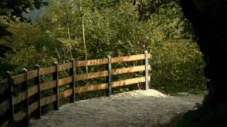 Davide Van De Sfroos - Lo Sciamano