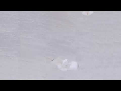 L CON  - You Were Right (Official Audio)