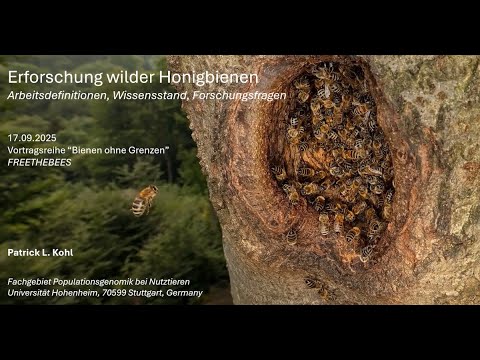 Dr. Patrick L. Kohl Wilde Honigbienenpopulationen in Europa: Arbeitsdefinitionen, Wissensstand, ...