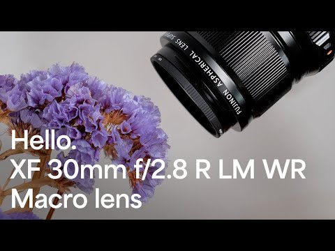 Video thumbnail for Video Review 3