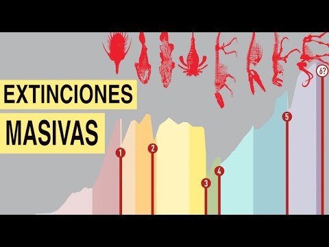 Las 5 Extinciones Que Ocurrieron En El Planeta Tierra