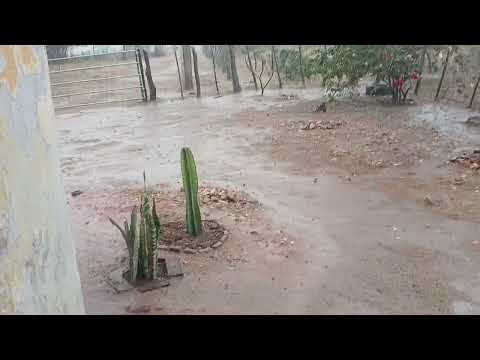 Chuva no município de Pedra Pernambuco 