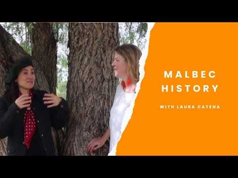 The history of Malbec in Argentina with Laura Catena