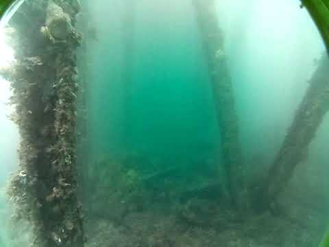 Rapid Bay Live by AusOcean 28/02/2023