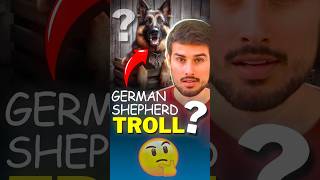 Why Dhruv Rathee Called German Shepherd! 🤔