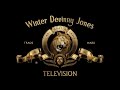 Winter Devinny Jones Television 2021 Styled Logo