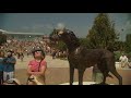 2017 Eclipse Time Lapse From Southern Illinois University Carbondale