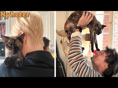 Jenny Strömstedts stora sorg med Niklas – älskade katten Kerstin död: ”For upp till katthimlen”