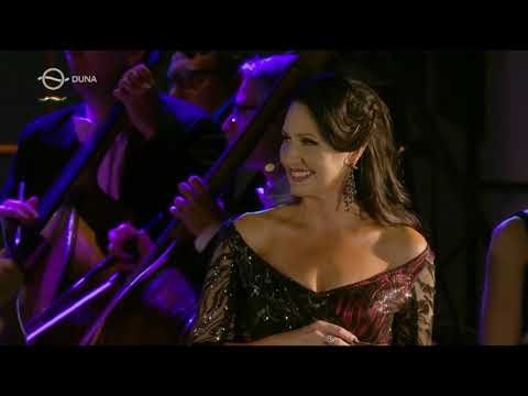 Les Alain(s) proposent (2 extraits du "Budavari Palotakoncert 2017" à BUDAPEST