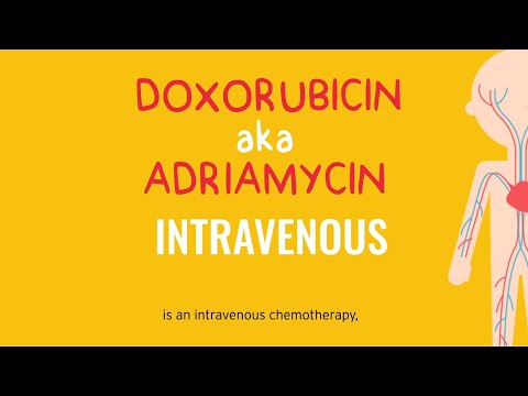 ADRIAMYCIN Doxorubicin 50 Mg Injection