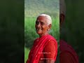 Grandma Love