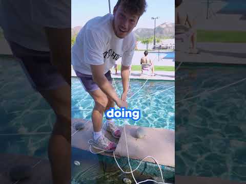 Wähle nicht den falschen Stuhl!