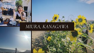 Travel vlog: 📍7月東京近郊向日葵山丘和三浦海岸～卡丁車撞車事故及再度扭傷腳的小旅行😲