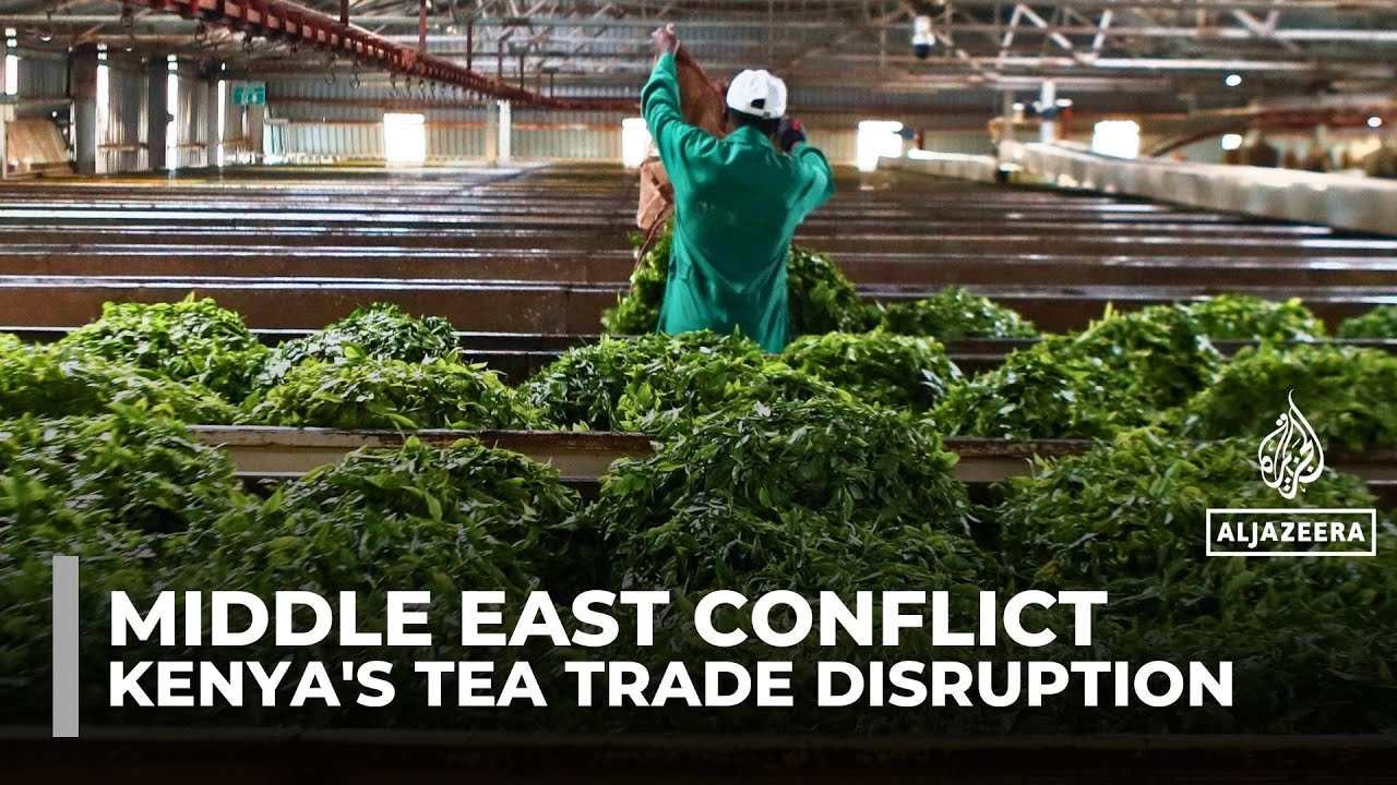 Kenya’s tea exports stalled as Middle East conflict chokes Mombasa port
