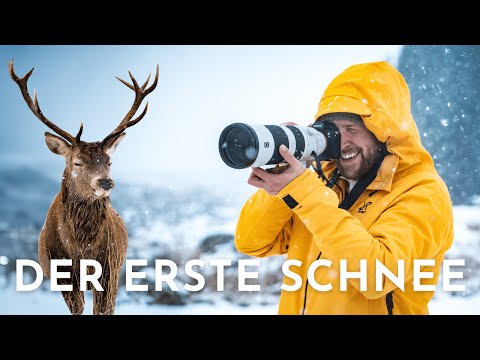 Winter camping in the Highlands: This is what we've been waiting for! | Vanlife Scotland