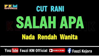 Download lagu Cut Rani - SALAH APA ( KARAOKE ) NADA RENDAH WANITA mp3