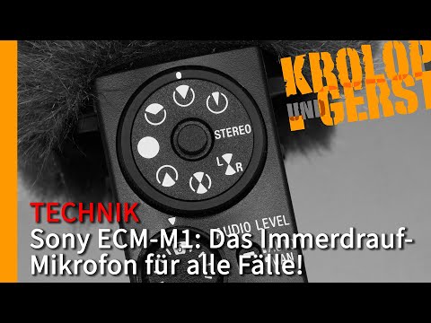 Sony ECM-M1: Das Immerdrauf-Mikrofon für alle Fälle! 📷 Krolop&Gerst
