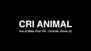 CRI ANIMAL live at Baba Fest VIII - Fanfulla, Rome (it)