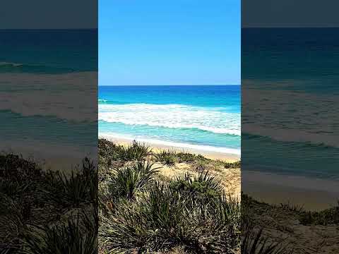 Beautiful beach in Forster Nsw Australia #viralvideo #viralshort #beach #nature #travel #photography