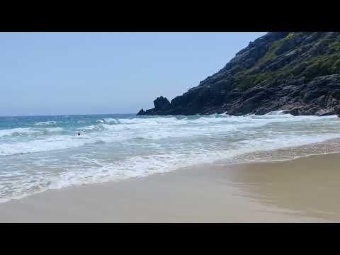 The music of the beach 🏖️⛱️