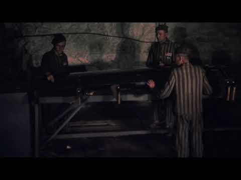 Bekijk video