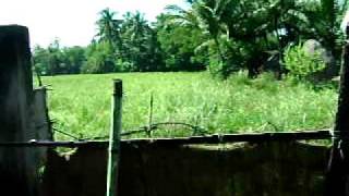 MINISTRY IN ORISSA INDIA, PLACE OF CHRISTIAN PERSECUTION. VIDEO 2