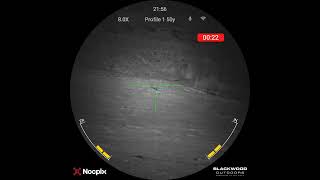 NocPix Nite D70R Long Range Rabbit Shooting with FX Impact