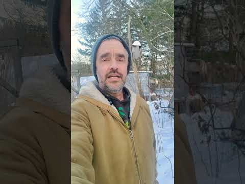 Remote 1-on-1 Consultations: EdibleAcres Offers February Support