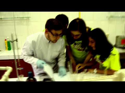 BeBassSnake - MMDSZ Diaknapok 2015