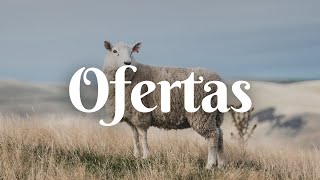 Ofertas | Pr. Adeildo Silva