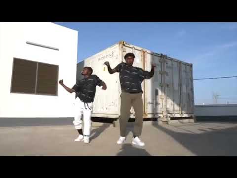 Stonebwoy - Putuu Freestyle Dance Video By (DWP Academy).