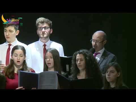 Noaptea de vis //  Corul Liceului Teologic Adventist Craiova & Vili Dulă