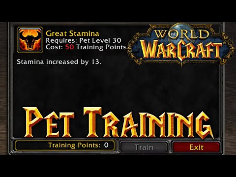 Classic WoW Hunters: Best Pet Training Setup
