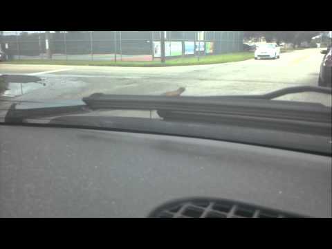 Flight of the Thunder Lizard!!!!!