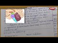 Structure Function Of Human Body 02 TN 10th Std Science Biology Question Bank Live Teaching