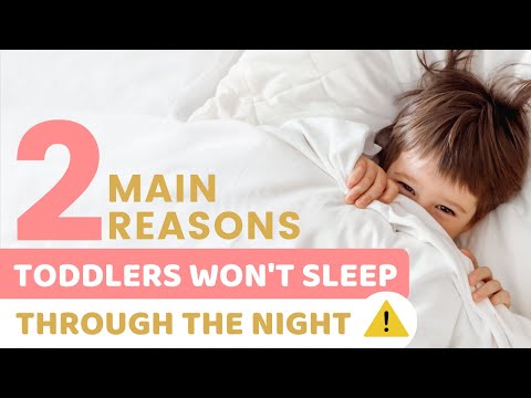 Why Your Toddler Won't Sleep Through The Night?