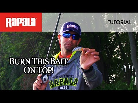 Rapala Dives To Fat 7cm 18g BBH