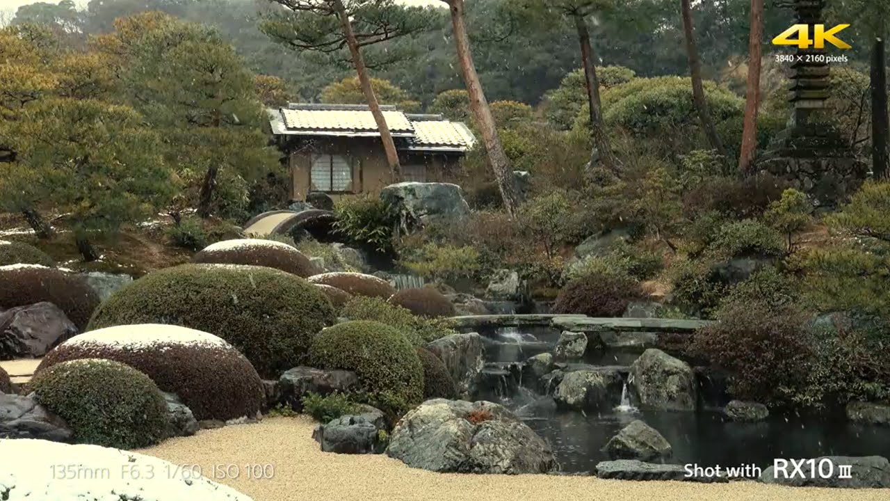 Цифровой фотоаппарат Sony Cyber-shot DSC-RX10 III