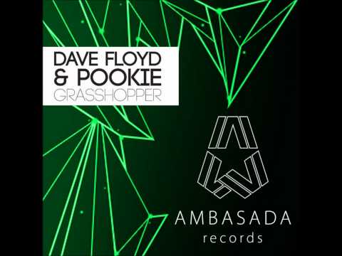 Dave Floyd, Pookie - Grasshopper (Original Mix)