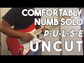 Comfortably Numb PULSE Uncut Solo