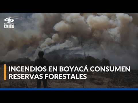 Radiografía de la tragedia por los incendios forestales en Boyacá: más de 1.300 hectáreas arrasadas