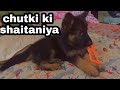 Chutki Ki Shaitaniya