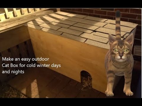 CAT HOUSE SHELTER  | Making a simple cat house for a shelter