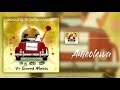 V1 Sound Music Ameolewa Official Audio