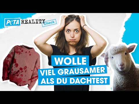 , title : 'Wolle: So werden Schafe für deinen Wollpulli ausgebeutet | PETA Reality Check'