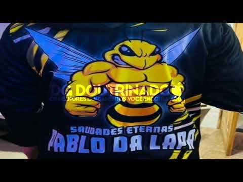 MC RF - É O ABELHA MALVADÃO x VEM PRA SELVA PIRANH4 ((DG DO YOUTUBE)) [2K22] RITMO DA SELVA