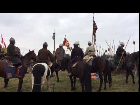 950th anniversary of the Battle of Hastings reenactment 6 Norman horses up close