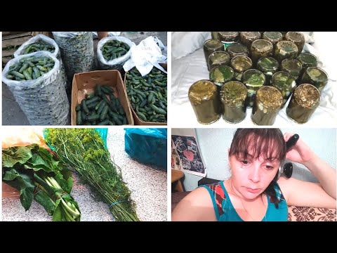 КАК НАЧАЛСЯ НАШ ДЕНЬ//РЫНОК//МАРИНУЕМ ОГУРЦЫ НА ЗИМУ//ОПЯТЬ ЧП!!!